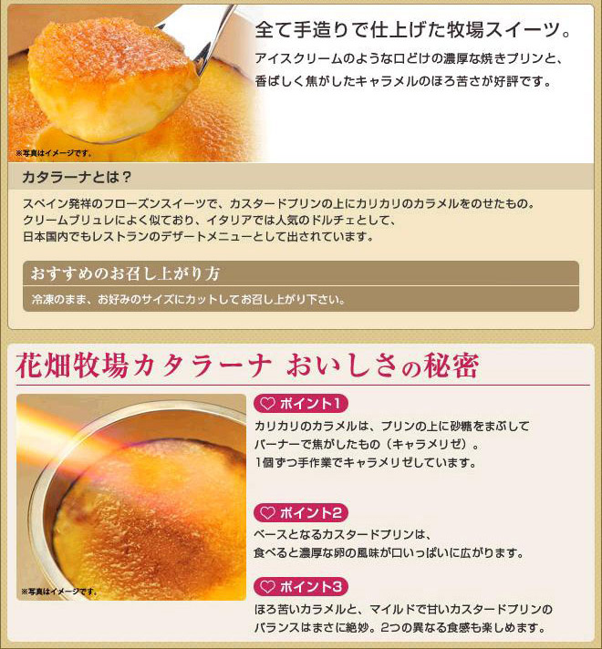 カタラーナ500g(業務用)